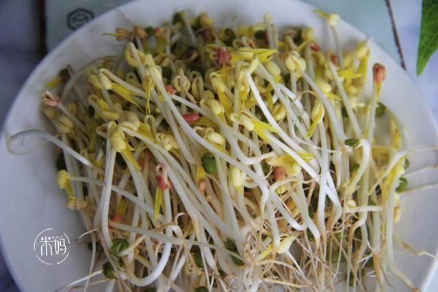 脆嫩|这个发豆芽小秘方,姥姥用了半辈子,又粗壮又脆嫩,3天就能吃