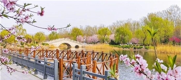 春光|全国特色小镇春光正好