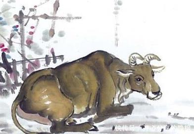 女性朋友|一生不败家、不变心、不显老、不缺钱的三个生肖女,旺夫运不得了