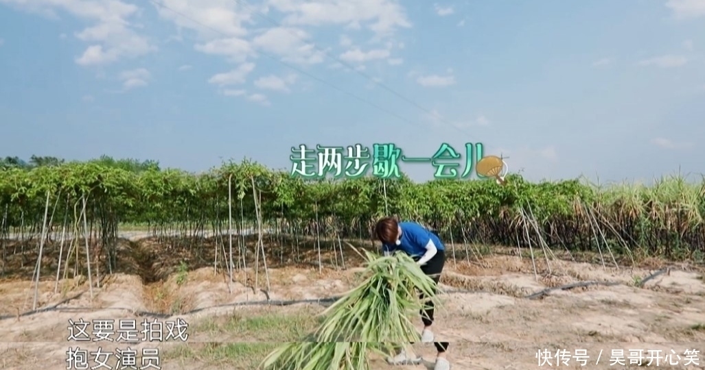 竟然|男星公主抱,周震南抱了只假腿,任嘉伦吐槽抱女星不如抱甘蔗