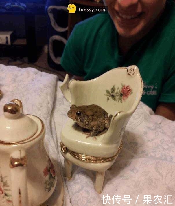 觉醒|8张「一觉醒来世界怎么变了」的照片