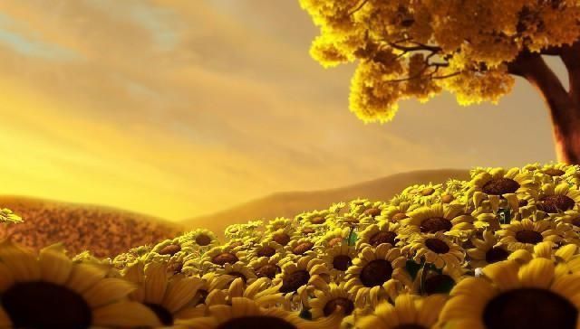  句句|最值得收藏的经典语录，句句深入人心，说出了你的心声