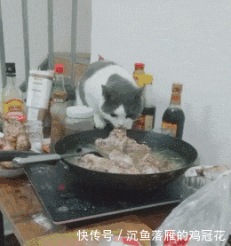 搞笑|GIF搞笑趣图: 大妈这舞还是别跳了, 后面的小哥已经生无可恋了