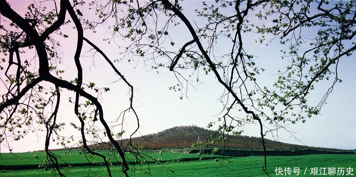  合作意向|郭沫若提议挖秦始皇陵，日本人也提出合作意向，背后安的什么心？