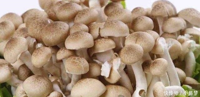 炒蟹味菇|蟹味菇5种最好吃的做法,简单美味又下饭,看看你喜欢吃不?