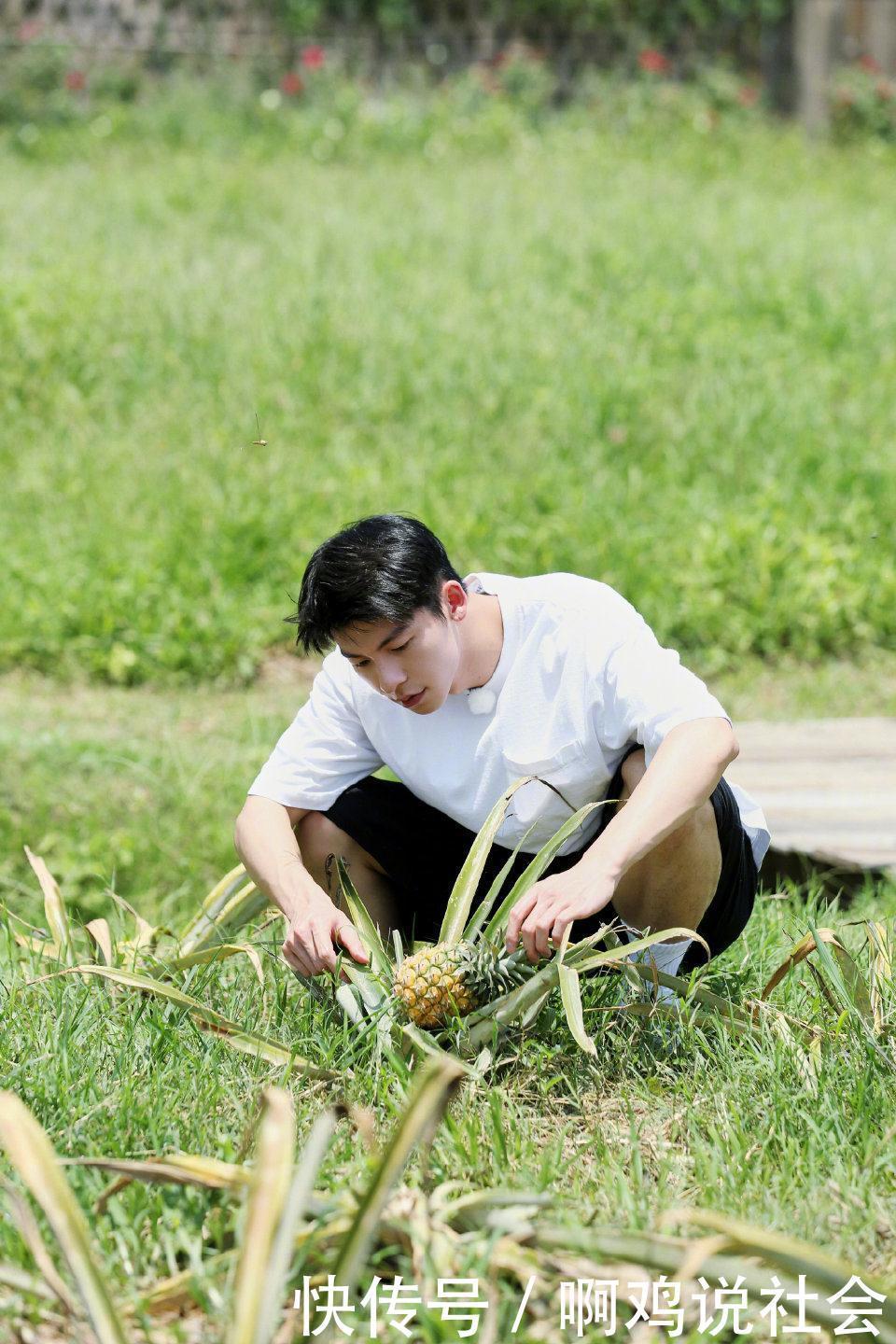 对比|《向往4》许光汉被指尴尬,像极了走亲戚,与欧阳娜娜对比鲜明