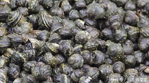  认出|海鲜大全, 你能认出多少