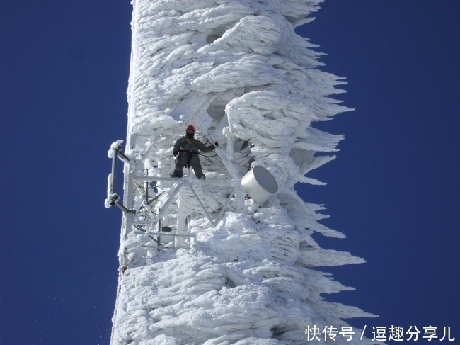无所不能|那些人类遗忘的角落,大自然无所不能