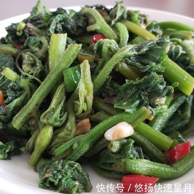  清炒|清炒南瓜苗，清脆爽口的农家菜
