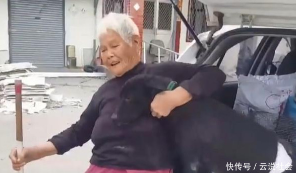 义工|93岁奶奶请义工带狗狗去绝育！狗狗超想奶奶，回来后狂亲