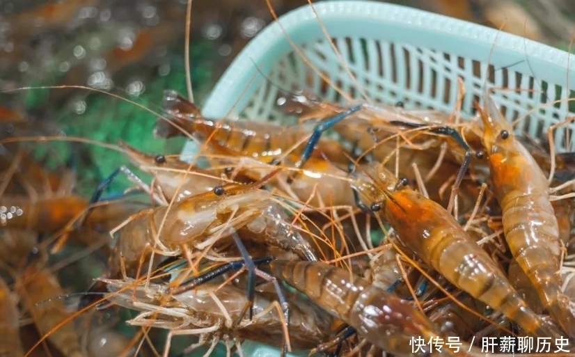 菜市场|菜市场买虾,如何分辨海虾和养殖虾?老渔民告诉你区别,原来如此