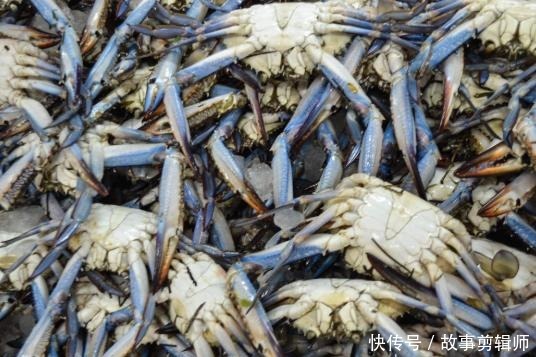 迪拜|看了迪拜菜市场后惊呆了,帝王蟹成地摊货,网友贫穷限制了想象