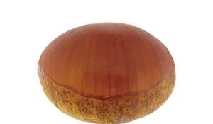 好吃|日本人的秋天限定美食,怎样最好吃?