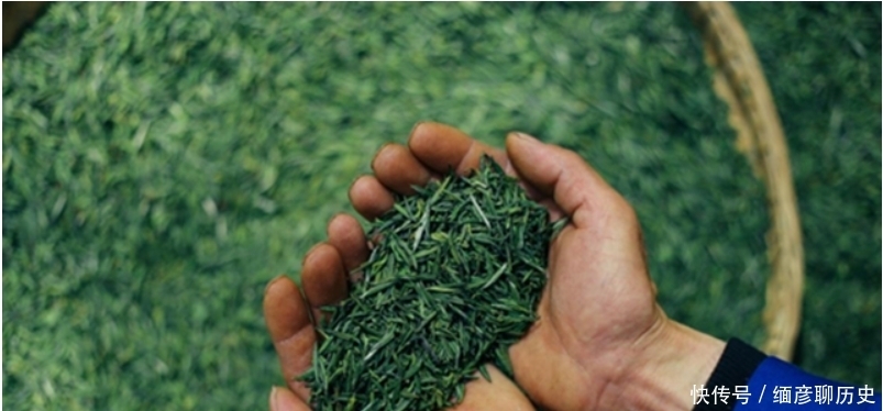 蒋家坡苔子|蓝焙话茶,遇见一路山水一路茶