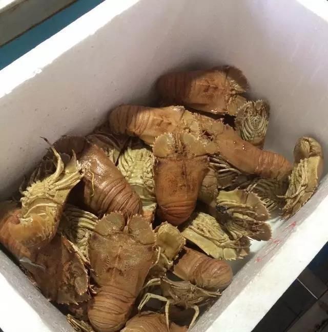 海鲜|世界上65种珍奇海鲜,贝爷都不敢说全部吃过,你吃过几种