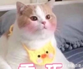 中奖|「奖品已就位」你中奖啦!快进来看看吧!