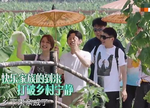  向往|向往迎来最嚣张嘉宾，当众嫌黄磊泡的茶难喝，还故意偷懒不干活