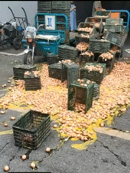  搞笑|搞笑GIF：大姐淡定的等人来救