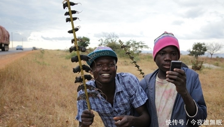 图片来自网络|这里的孩子早早辍学，每天去田里抓老鼠只为一种美味
