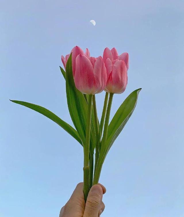 迷人|朋友圈超迷人的早安句子,干净治愈,沁人心脾!