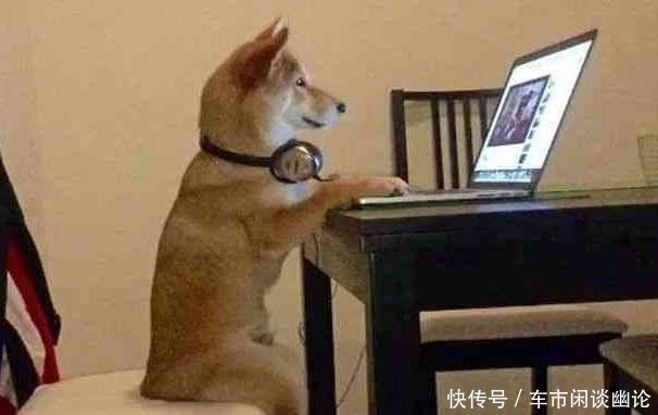  停播|被提议停播的几档综艺，内幕令人不能忍，还会误导青少年