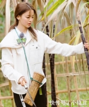 baby|继baby假吃后,杨超越吃法暴露节目真实性,网友:打脸了