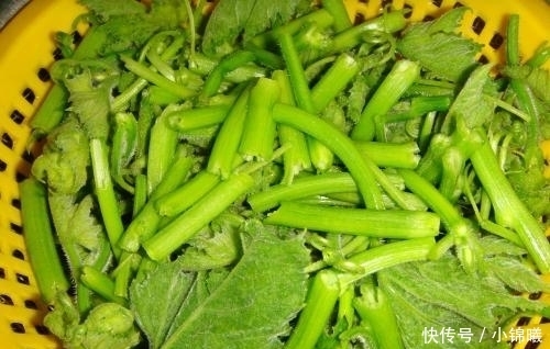 从不|碰到这菜我从不手软,1次买3把,识货的人都抢着买,调经又养血