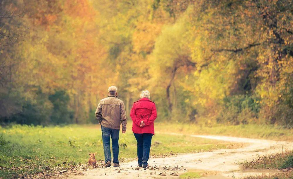 北大|北大发放首批录取通知书:从此不见父母老去,故乡再无春秋