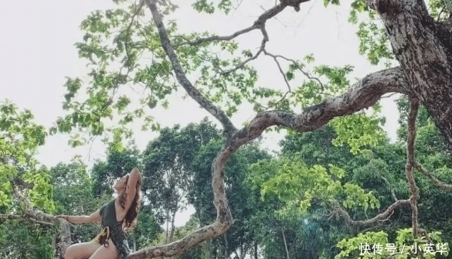  摄影|摄影：树上的风景比不上树下的风景
