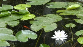  生活|如果《向往的生活》来峰峰，取景地一定在这里……