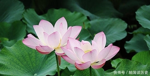  杂七杂八|关于体制内生活，一些杂七杂八的杂想