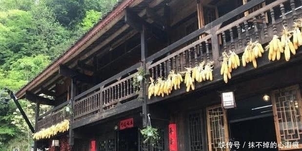 稻田|《向往3》录制结束,褪去滤镜的蘑菇屋曝光,稻田成了唯一的美景