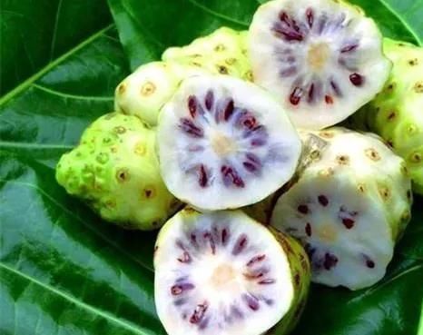 恶心|网评最恶心的5大水果,榴莲只能靠边站,敢吃第4种的才是真男人