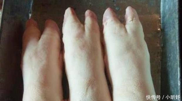 后蹄|猪前蹄和后蹄哪个更好肉贩记住3句“顺口溜”,1挑1个准