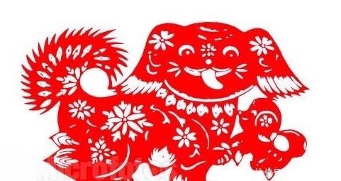  大运|喜鹊门前喳喳叫，生肖狗喜迎财神进门，百年大运挡也挡不住！