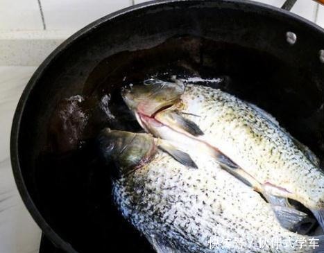 就可以|秋天,这款鲫鱼汤要多喝,暖胃,还很有营养,这样做不腥还很鲜