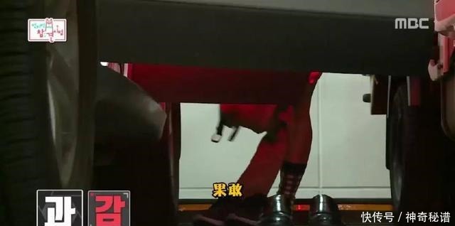 预感|这次我们抄袭不来,我预感它一定大火