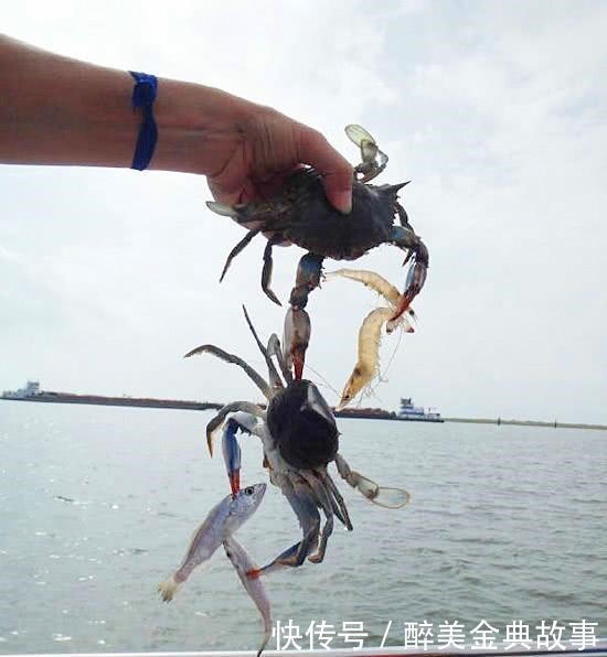 兄弟|每日一笑大兄弟,玩个扑克都让你玩出感情,也是没谁了