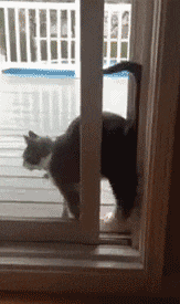 姑娘|搞笑GIF:姑娘,你说的什么?我没听清!