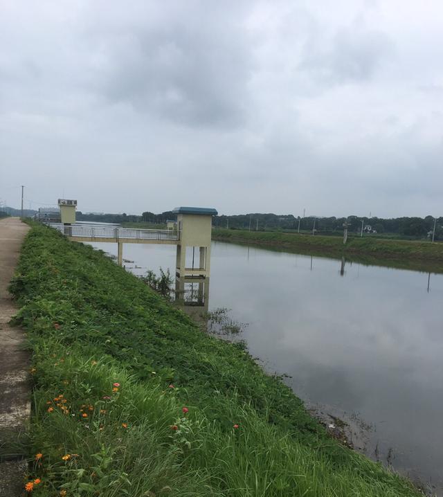 足以|竿梢常指水,足以慰风尘