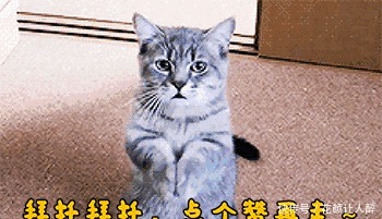 三本|三本霸道男主宠妻军婚小说推荐，高冷军爷拐娇妻，从此变成宠妻奴