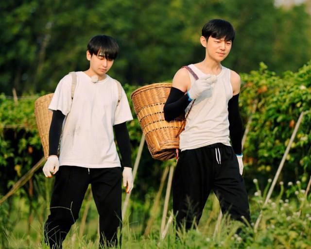  向往|泪目《向往的生活》完美收官，彭彭一句话暗示节目第5季命运