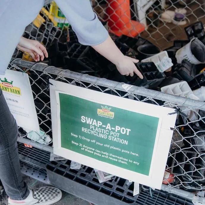 适合|冬天吃不起菜新西兰华人6月种菜攻略,适合新人上手