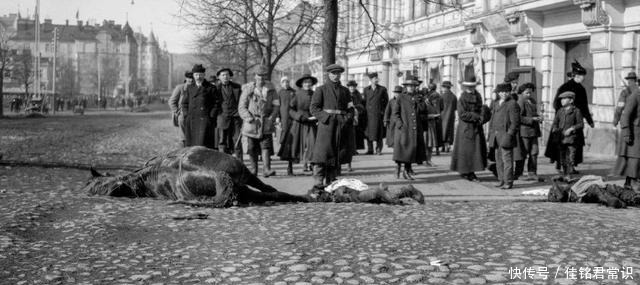 工业|占据城市和工业中心，红色芬兰为何惨遭失败苏联失败的革命输出