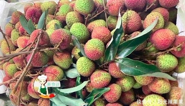 荔枝品种|买荔枝时,老果农教你5招,挑出好荔枝,肉厚多汁,一挑一个准!