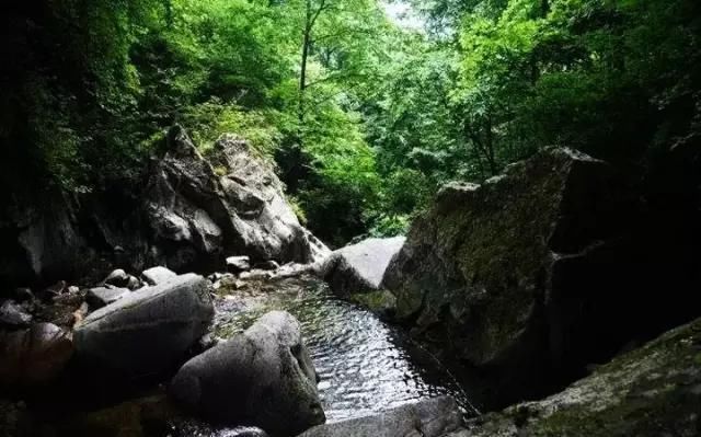  游山玩水|游山玩水，踏春赏花怎么能错过大美秦岭呢