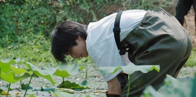 来去匆匆|《向往的生活》双龙和黄晓明来去匆匆,黄磊一句话更点明问题所在