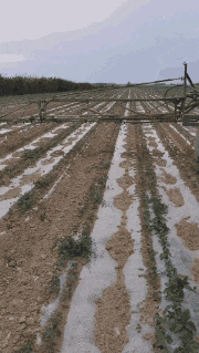 GIF|搞笑GIF：这是我见过最帅的小魔仙，非常的迷人