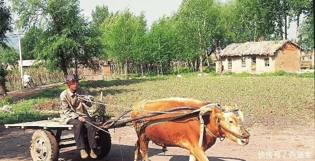 变化|追忆那些年的农村交通工具的变化，满满的回忆