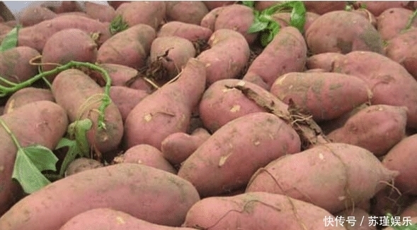 特产|比黄金还珍贵的三样东西,异国特产,中国大规模引入后,国力暴涨